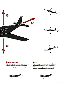 The Physics of Flight. From the First Gliders to Modern Drones